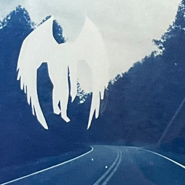 Smoky Mountain Mothman - Alex Keith
