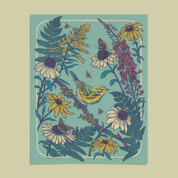 Prairie Warbler 11x14" Giclee Print