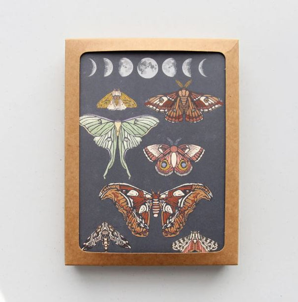 Moonlit Moths - Boxed Cards