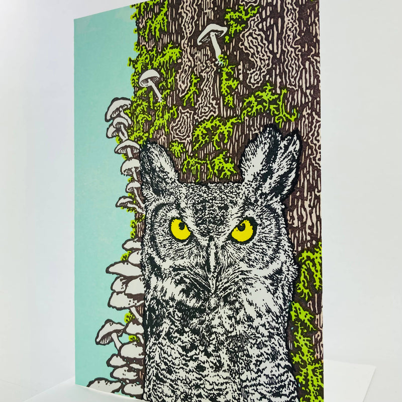Art - Wise Old Owl in the Old Growth Forest