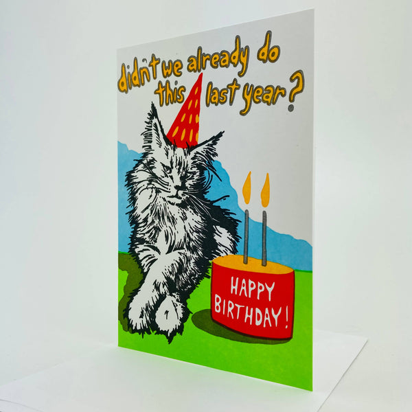 Birthday Cat Not So Excited.