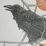 Persimmon Birthday Card