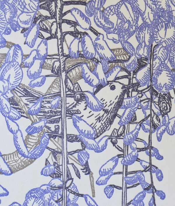 Wisteria Sympathy Card