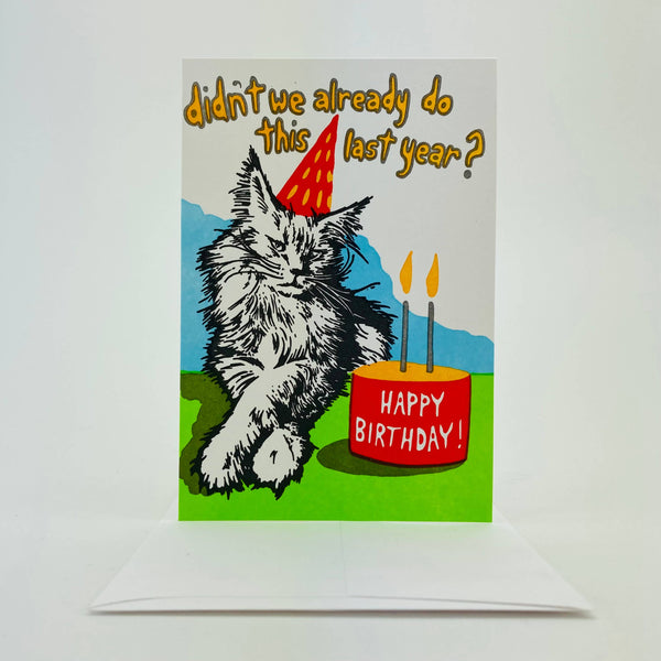 Birthday Cat Not So Excited.