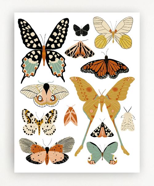 Butterfly Collector Art Print