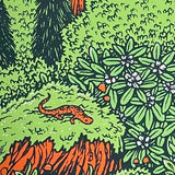 Appalachia Wilderness Print - 11 x 14
