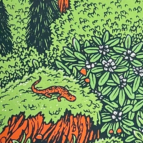 Appalachia Wilderness Print - 11 x 14