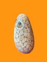 Medium Golden Eye Rock Owl - Manya Pirkle