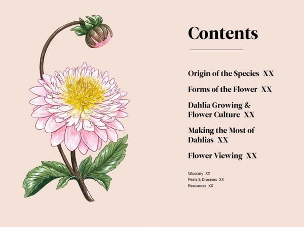 Dahlias - A Little Book of Flowers