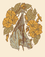 Flying Fox + Morning Glories 8x10" Giclee Print