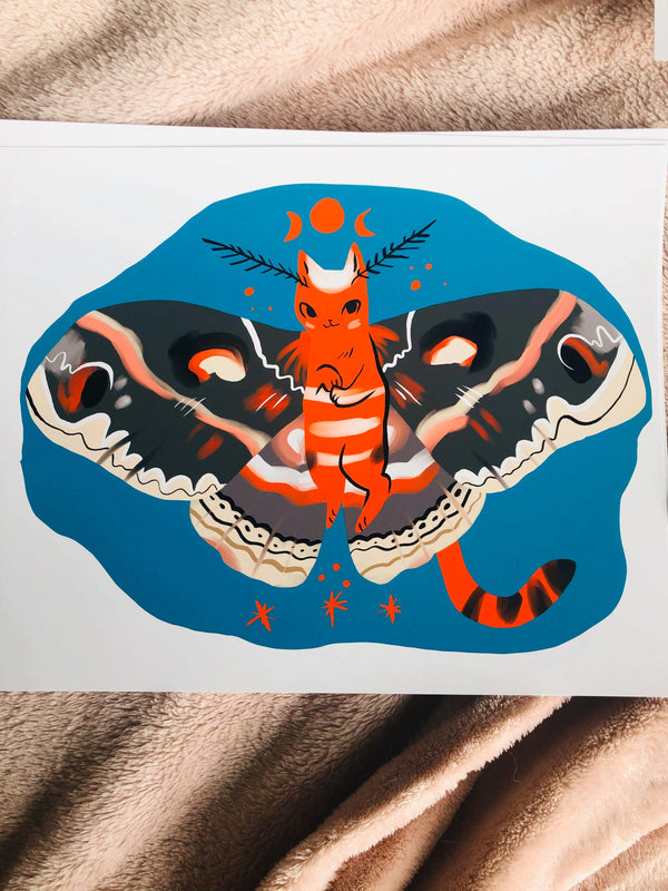Cecropia cat moth 8x10 high quality art print