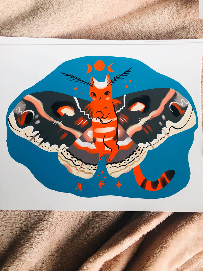 Cecropia cat moth 8x10 high quality art print
