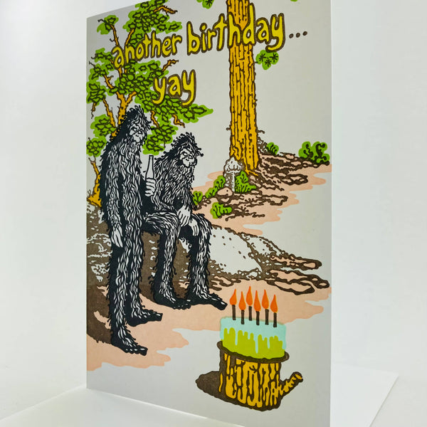 Another birthday... Yay