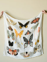 Butterfly Collector Baby Swaddle Blanket