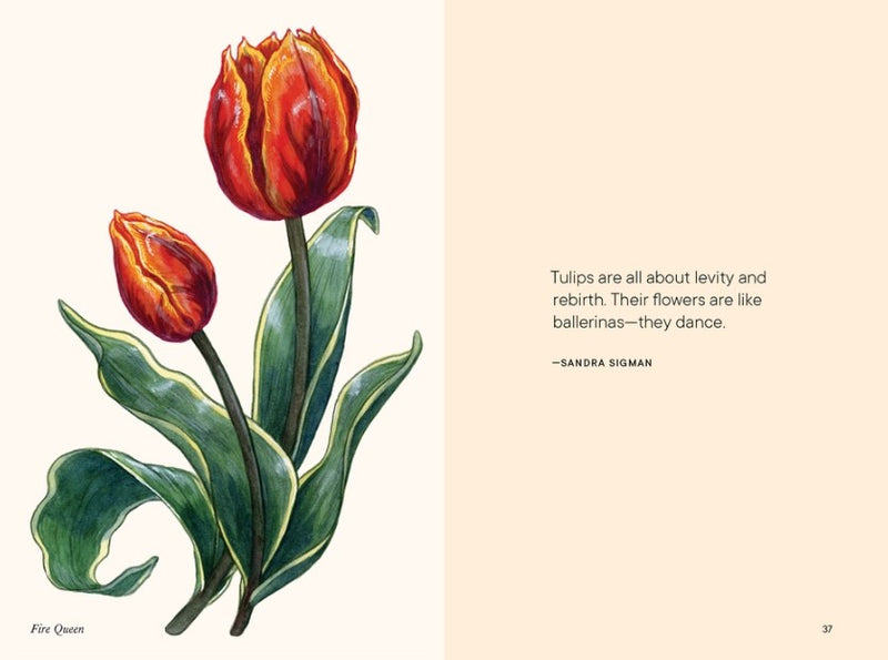 Tulips - A Little Book of Flowers