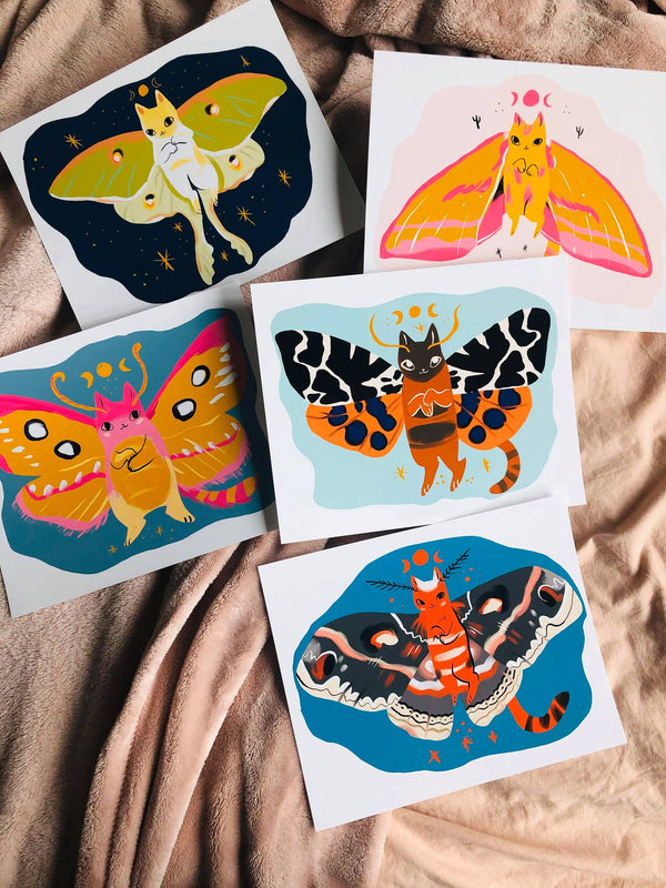 Cecropia cat moth 8x10 high quality art print