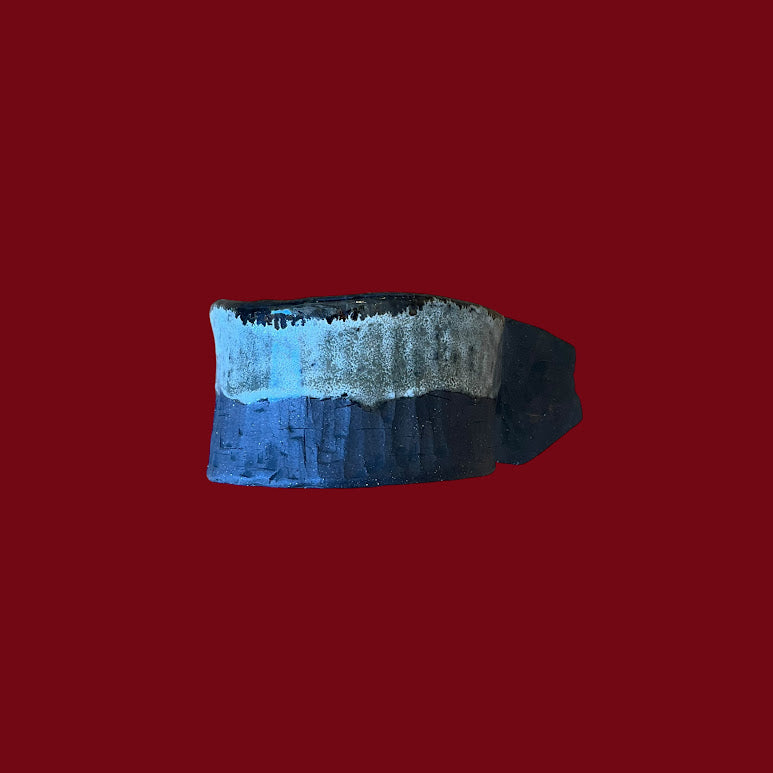 Devonian Mug - Michael Arpino