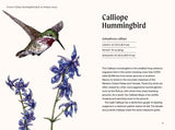 Hummingbirds - A Little Book