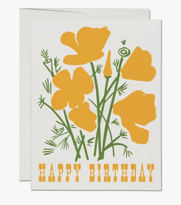 California Poppy - Birthday