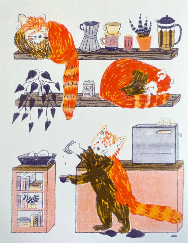 Red Panda Cafe Print - 8.5 x 11