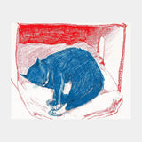 Print - "Pepper in His Box" - 8 x 10
