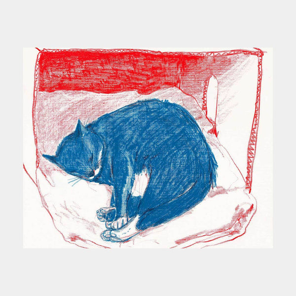 Print - "Pepper in His Box" - 8 x 10