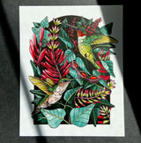 Ruby Throated Hummingbirds & Mamou Plant - Print