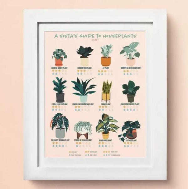 Houseplants Guide Print