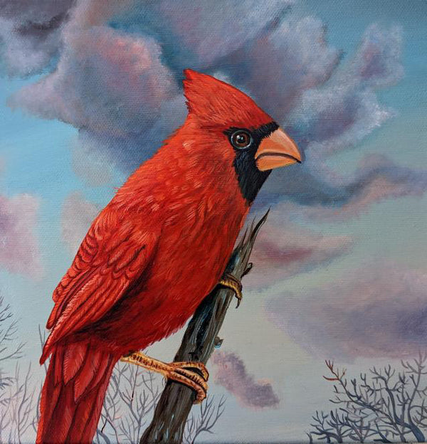 Cardinal - Tim Hooper