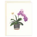 Orchid Greeting - Mother's Day