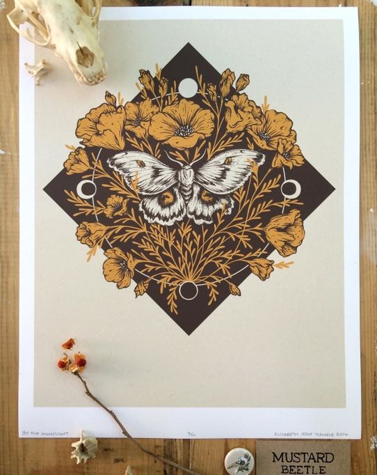 Moth & Poppies, Moon Phases Print