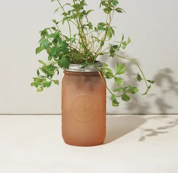Garden Jar Herb Kit - Parsley