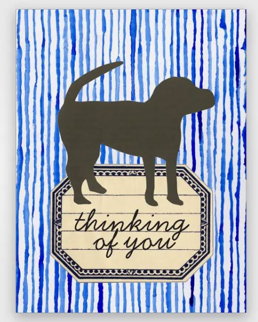 Sympathy Dog - Empathy