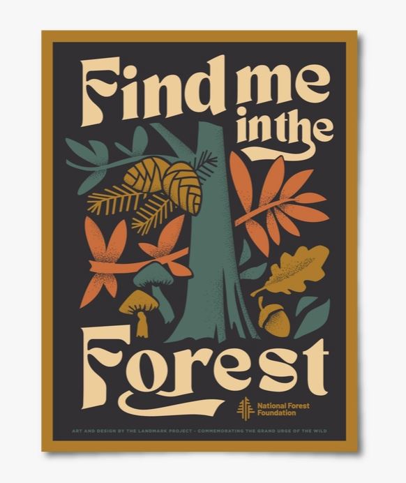 Find Me In The Forest