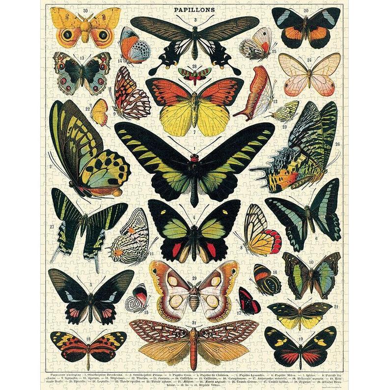 Butterflies -1000 Pieces