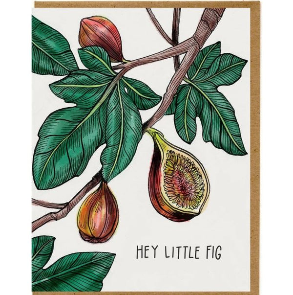 Hey Little Fig - Love
