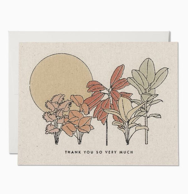 Desert Plants - Thank You