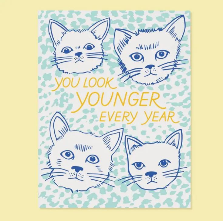 Younger Cats - Birthday