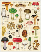 Mushrooms - 1000 Pieces