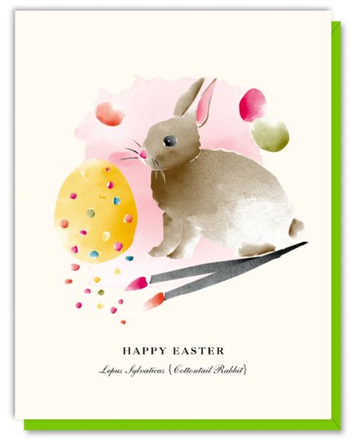 Easter Cottontail -  Easter